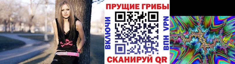 Купить закладки  Пикалёво  Псилоцибиновые грибы мухоморы 